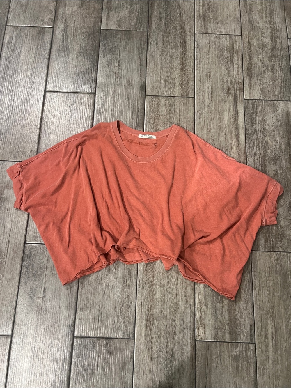 We The Free Oversized Crop Top in washed rust color